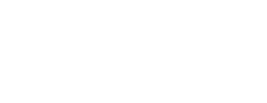Janeček Foundation